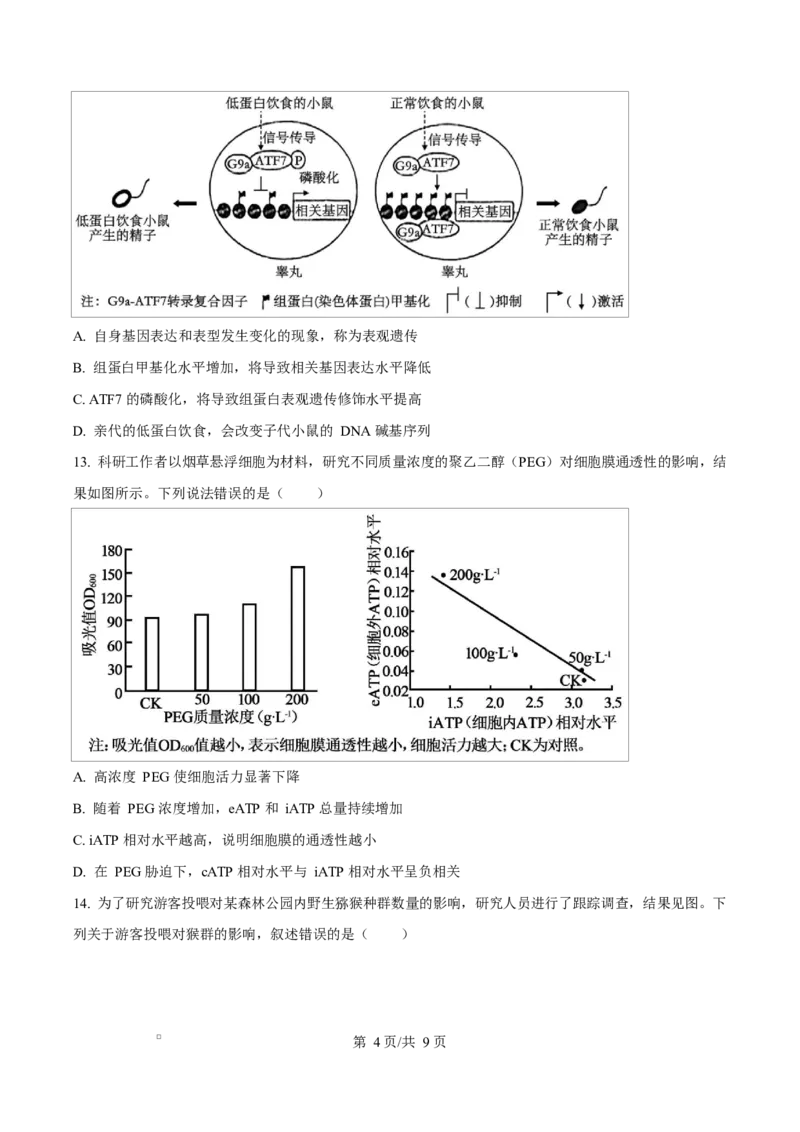 2024年高考生物试卷（广西）（空白卷）_生物历年高考真题_新&middot;Word版2008-2025&middot;高考生物真题_生物（按年份分类）2008-2025_2024&middot;高考生物真题