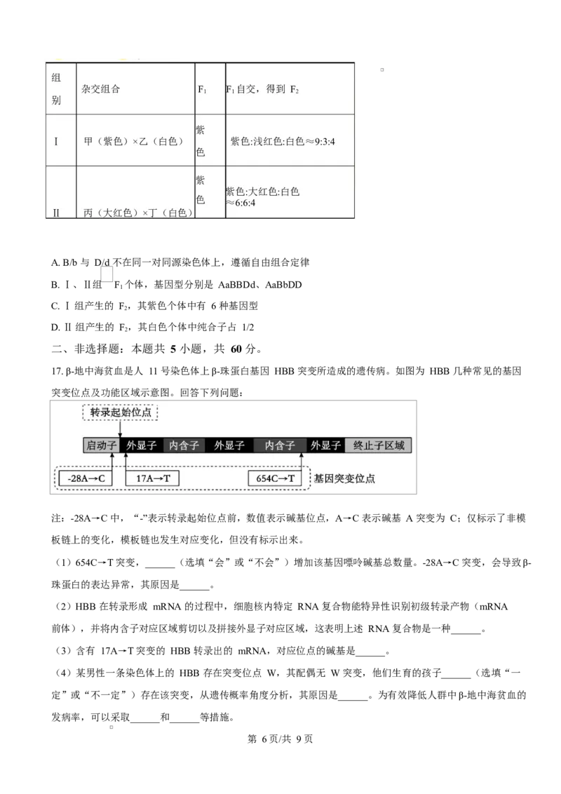 2024年高考生物试卷（广西）（空白卷）_生物历年高考真题_新&middot;Word版2008-2025&middot;高考生物真题_生物（按年份分类）2008-2025_2024&middot;高考生物真题