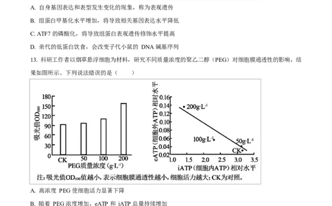 2024年高考生物试卷（广西）（空白卷）_生物历年高考真题_新&middot;Word版2008-2025&middot;高考生物真题_生物（按年份分类）2008-2025_2024&middot;高考生物真题