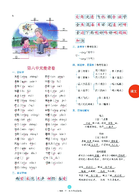 1年级语文绘本-B2-六三版_一年级语文下册（统编版）_老课标资料_一下语文含教学视频_第一套_010-绘本课堂PDF可下载打印