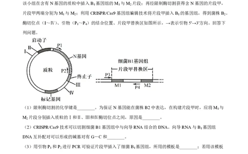 2024年高考生物试卷（新课标）（空白卷）_生物历年高考真题_新&middot;PDF版2008-2025&middot;高考生物真题_生物（按年份分类）2008-2025_2024&middot;高考生物真题