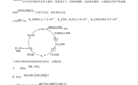 2024年高考化学试卷（安徽）（空白卷）_历年高考真题合集_化学历年高考真题_新&middot;Word版2008-2025&middot;高考化学真题_化学（按年份分类）2008-2025_2024&middot;高考化学真题