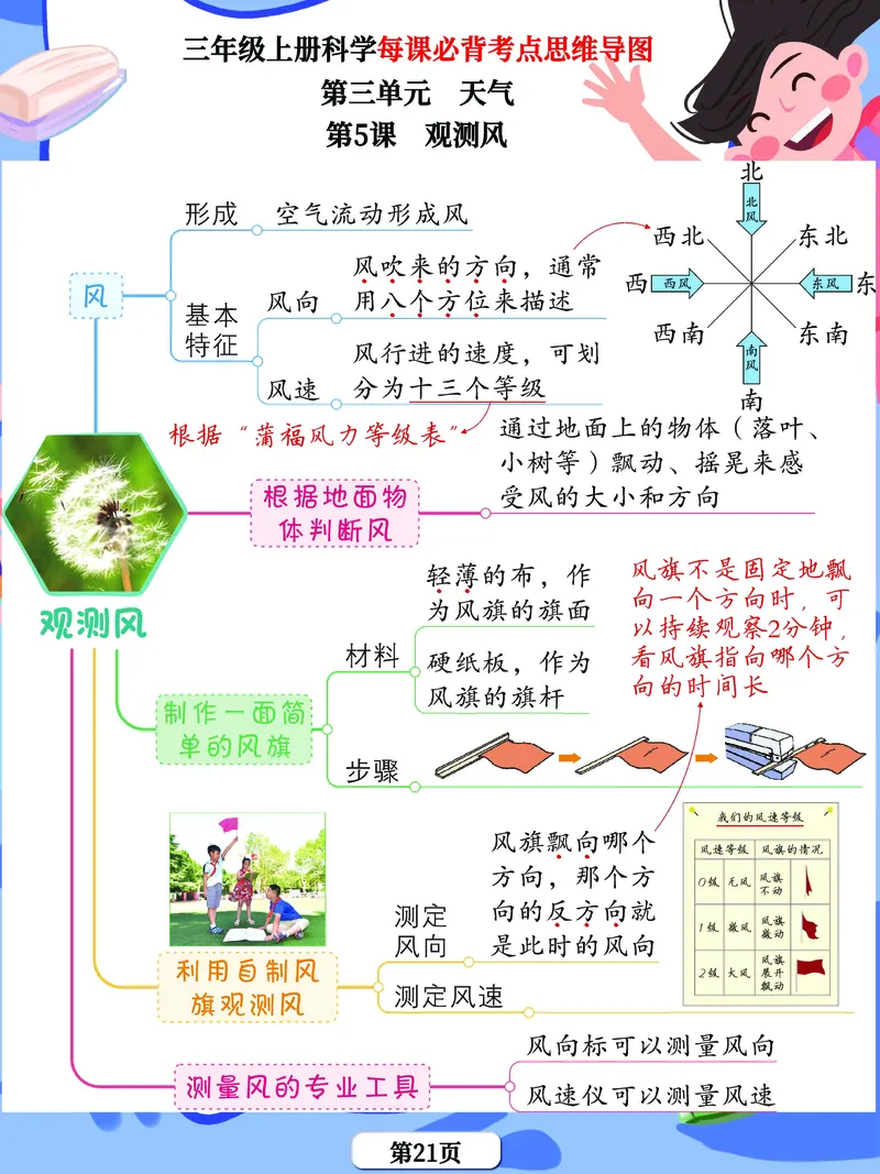 《思维导图》三年级上册科学《每课考点思维导图》，学霸满分吃透这24张_三年级上下册资料_小学三年级学习资料-25年更新版_3-09、小学三年级科学上册_教科版_知识点