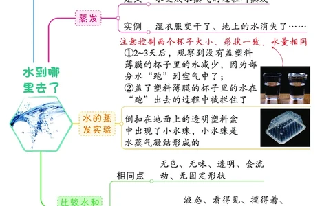 《思维导图》三年级上册科学《每课考点思维导图》，学霸满分吃透这24张_三年级上下册资料_小学三年级学习资料-25年更新版_3-09、小学三年级科学上册_教科版_知识点