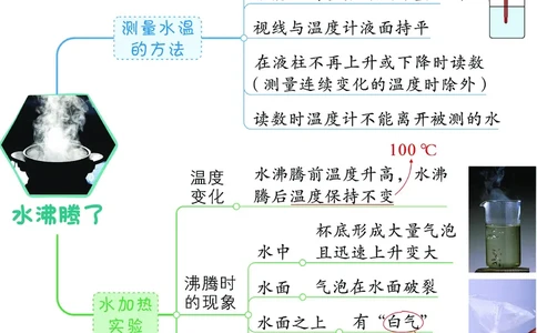 《思维导图》三年级上册科学《每课考点思维导图》，学霸满分吃透这24张_三年级上下册资料_小学三年级学习资料-25年更新版_3-09、小学三年级科学上册_教科版_知识点