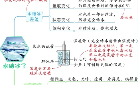 《思维导图》三年级上册科学《每课考点思维导图》，学霸满分吃透这24张_三年级上下册资料_小学三年级学习资料-25年更新版_3-09、小学三年级科学上册_教科版_知识点