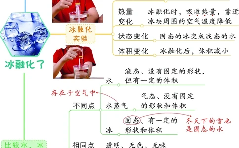 《思维导图》三年级上册科学《每课考点思维导图》，学霸满分吃透这24张_三年级上下册资料_小学三年级学习资料-25年更新版_3-09、小学三年级科学上册_教科版_知识点