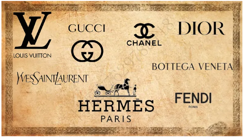 奢侈品名表名包_X017-奢侈品鉴定教程最新合集_5、寄卖行鉴定全套手册合集6套_箱包鉴定资料