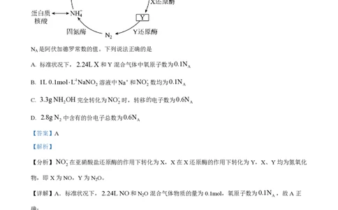 2024年高考化学试卷（安徽）（解析卷）_历年高考真题合集_化学历年高考真题_新&middot;PDF版2008-2025&middot;高考化学真题_化学（按年份分类）2008-2025_2024&middot;高考化学真题