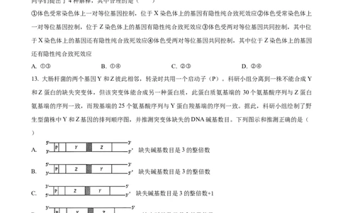 2025年高考生物试卷（安徽卷）（空白卷）_生物历年高考真题_新&middot;Word版2008-2025&middot;高考生物真题_生物（按年份分类）2008-2025_2025&middot;高考生物真题