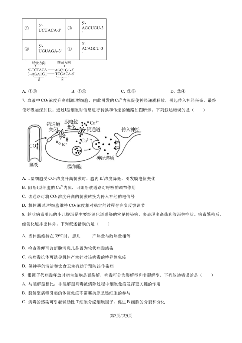 2025年高考生物试卷（河北卷）（空白卷）_生物历年高考真题_新&middot;Word版2008-2025&middot;高考生物真题_生物（按年份分类）2008-2025_2025&middot;高考生物真题