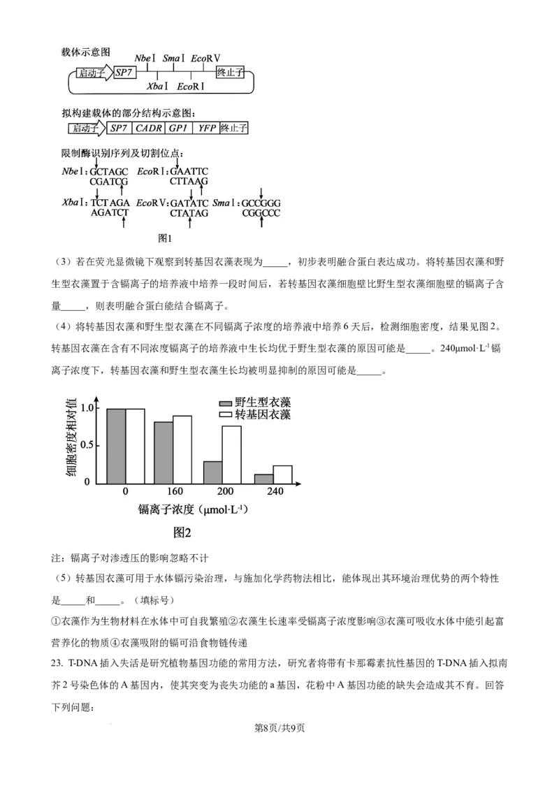 2025年高考生物试卷（河北卷）（空白卷）_生物历年高考真题_新&middot;Word版2008-2025&middot;高考生物真题_生物（按年份分类）2008-2025_2025&middot;高考生物真题