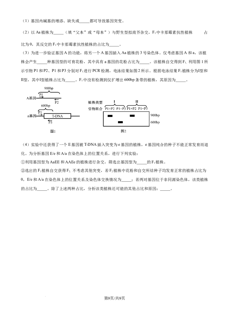 2025年高考生物试卷（河北卷）（空白卷）_生物历年高考真题_新&middot;Word版2008-2025&middot;高考生物真题_生物（按年份分类）2008-2025_2025&middot;高考生物真题
