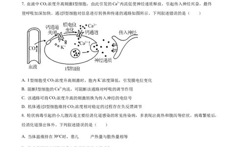 2025年高考生物试卷（河北卷）（空白卷）_生物历年高考真题_新&middot;Word版2008-2025&middot;高考生物真题_生物（按年份分类）2008-2025_2025&middot;高考生物真题