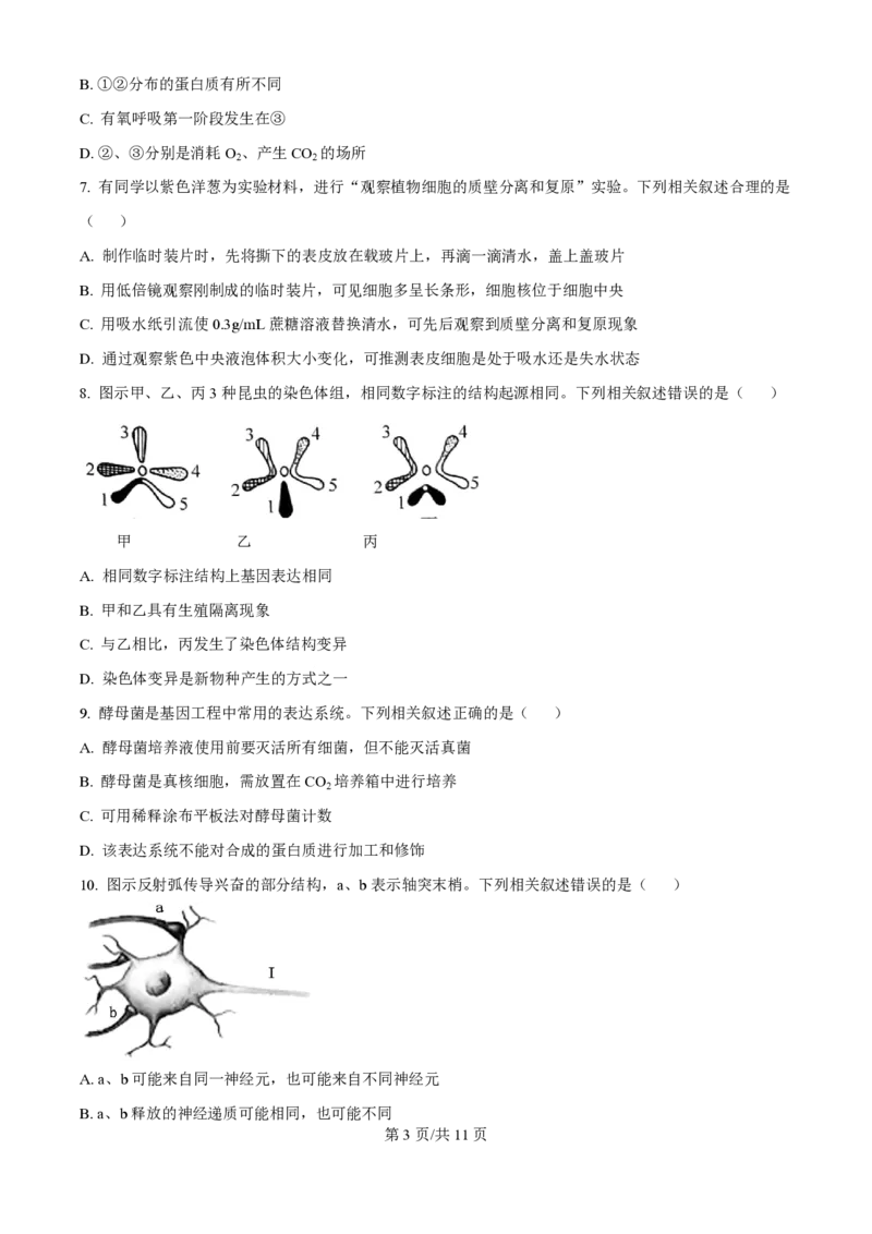 2024年高考生物试卷（江苏）（空白卷）_生物历年高考真题_新&middot;PDF版2008-2025&middot;高考生物真题_生物（按年份分类）2008-2025_2024&middot;高考生物真题