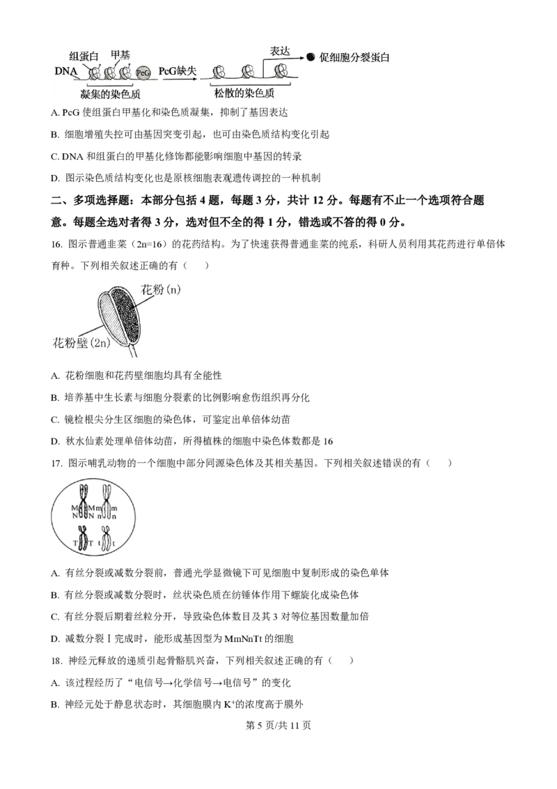 2024年高考生物试卷（江苏）（空白卷）_生物历年高考真题_新&middot;PDF版2008-2025&middot;高考生物真题_生物（按年份分类）2008-2025_2024&middot;高考生物真题
