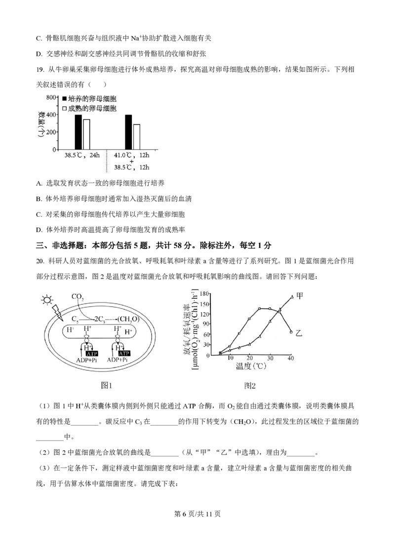 2024年高考生物试卷（江苏）（空白卷）_生物历年高考真题_新&middot;PDF版2008-2025&middot;高考生物真题_生物（按年份分类）2008-2025_2024&middot;高考生物真题