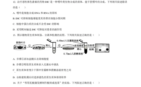 2024年高考生物试卷（江苏）（空白卷）_生物历年高考真题_新&middot;PDF版2008-2025&middot;高考生物真题_生物（按年份分类）2008-2025_2024&middot;高考生物真题