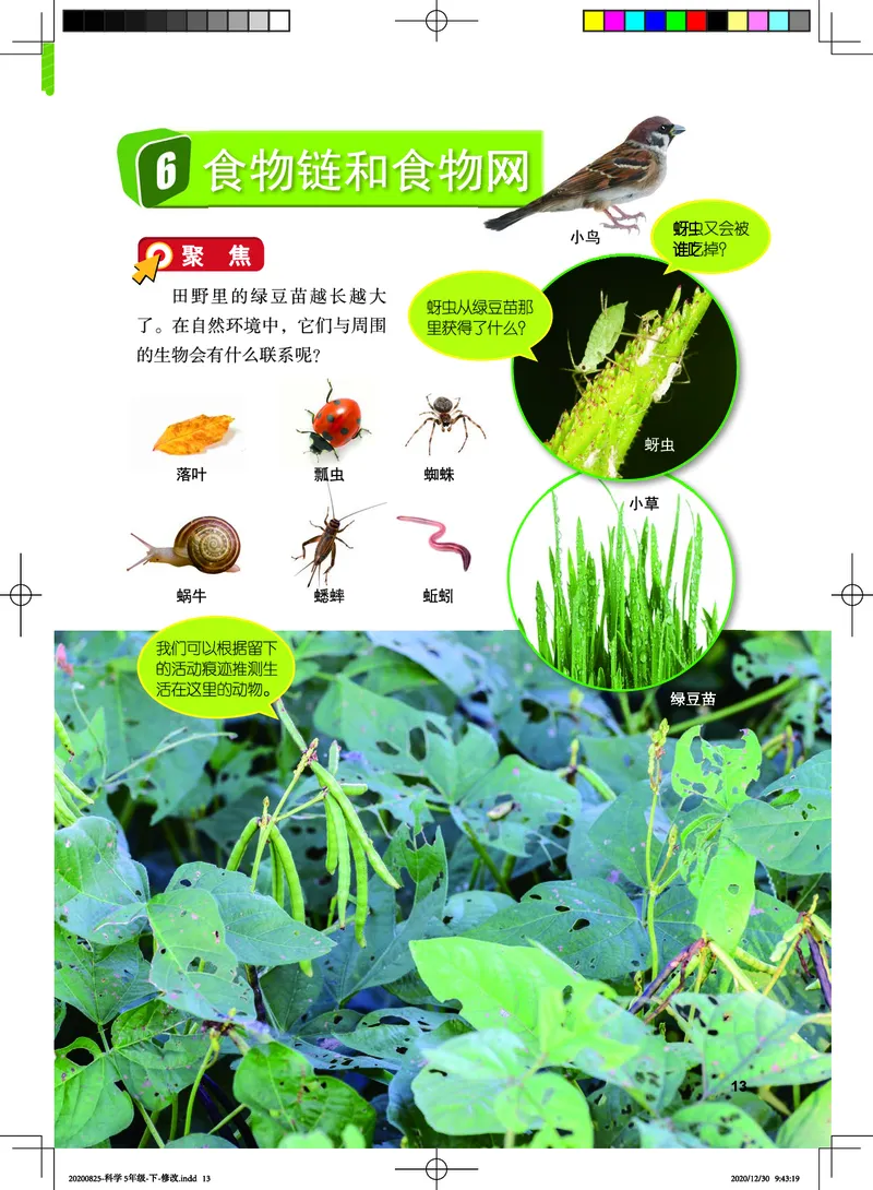 教科版5年级科学下册高清教材_全部版本&bull;小学科学电子课本_教科版小学科学电子课本