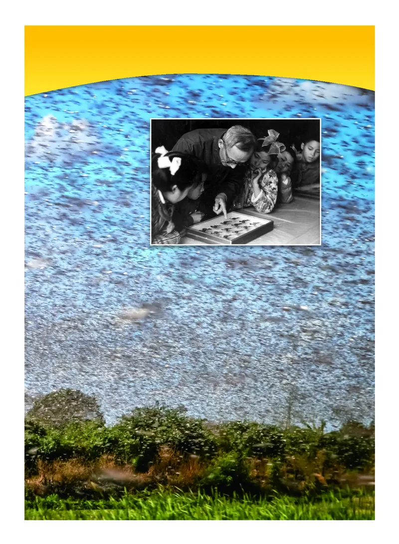 教科版5年级科学下册高清教材_全部版本&bull;小学科学电子课本_教科版小学科学电子课本