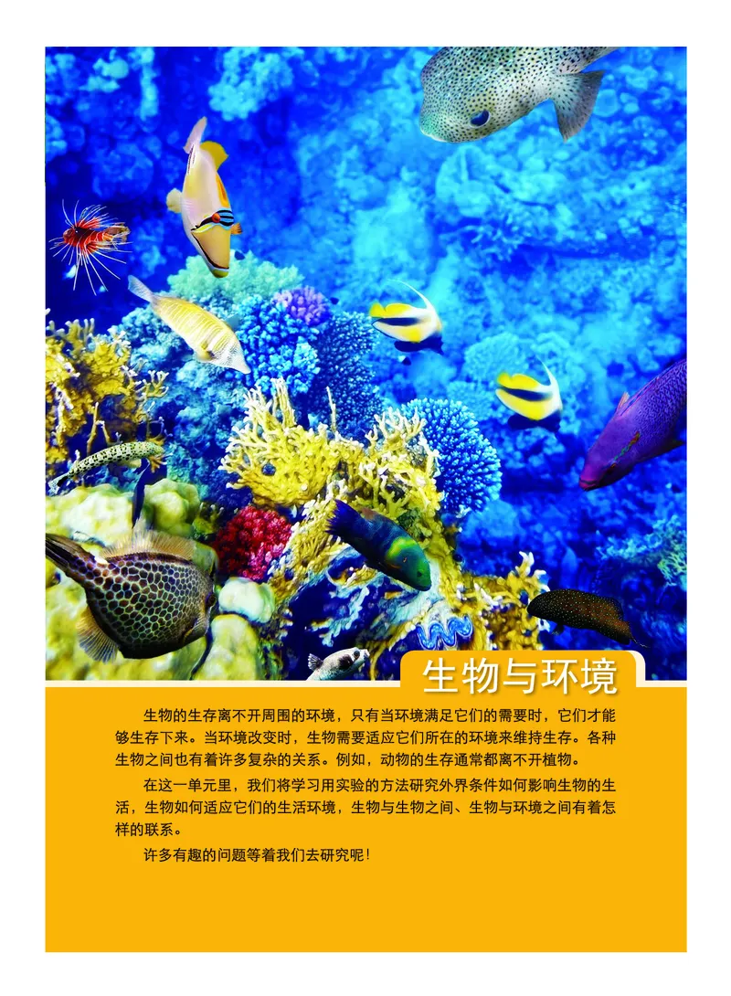 教科版5年级科学下册高清教材_全部版本&bull;小学科学电子课本_教科版小学科学电子课本