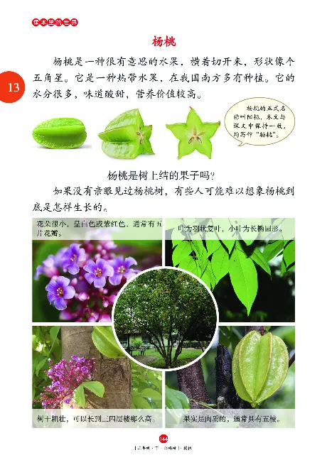 《年级阅读》语文2年级下册（RJ）_二年级上下册资料_小学二年级学习资料-25年更新版_2-02、小学二年级语文下册_2-2-2、练习题、作业、试题、试卷_电子册类