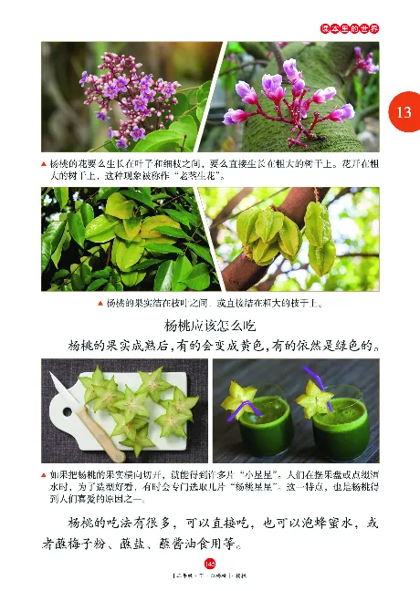 《年级阅读》语文2年级下册（RJ）_二年级上下册资料_小学二年级学习资料-25年更新版_2-02、小学二年级语文下册_2-2-2、练习题、作业、试题、试卷_电子册类