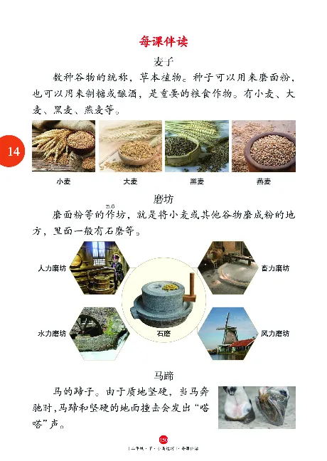 《年级阅读》语文2年级下册（RJ）_二年级上下册资料_小学二年级学习资料-25年更新版_2-02、小学二年级语文下册_2-2-2、练习题、作业、试题、试卷_电子册类