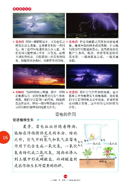 《年级阅读》语文2年级下册（RJ）_二年级上下册资料_小学二年级学习资料-25年更新版_2-02、小学二年级语文下册_2-2-2、练习题、作业、试题、试卷_电子册类