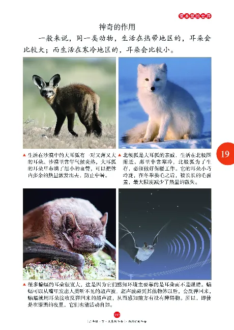 《年级阅读》语文2年级下册（RJ）_二年级上下册资料_小学二年级学习资料-25年更新版_2-02、小学二年级语文下册_2-2-2、练习题、作业、试题、试卷_电子册类