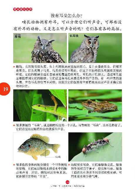 《年级阅读》语文2年级下册（RJ）_二年级上下册资料_小学二年级学习资料-25年更新版_2-02、小学二年级语文下册_2-2-2、练习题、作业、试题、试卷_电子册类