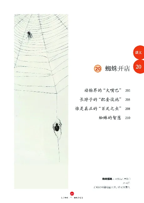 《年级阅读》语文2年级下册（RJ）_二年级上下册资料_小学二年级学习资料-25年更新版_2-02、小学二年级语文下册_2-2-2、练习题、作业、试题、试卷_电子册类