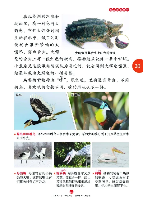 《年级阅读》语文2年级下册（RJ）_二年级上下册资料_小学二年级学习资料-25年更新版_2-02、小学二年级语文下册_2-2-2、练习题、作业、试题、试卷_电子册类