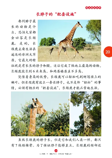 《年级阅读》语文2年级下册（RJ）_二年级上下册资料_小学二年级学习资料-25年更新版_2-02、小学二年级语文下册_2-2-2、练习题、作业、试题、试卷_电子册类