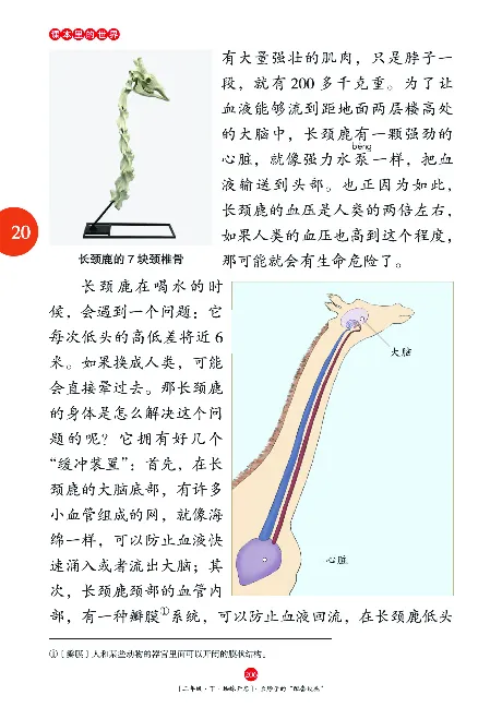《年级阅读》语文2年级下册（RJ）_二年级上下册资料_小学二年级学习资料-25年更新版_2-02、小学二年级语文下册_2-2-2、练习题、作业、试题、试卷_电子册类