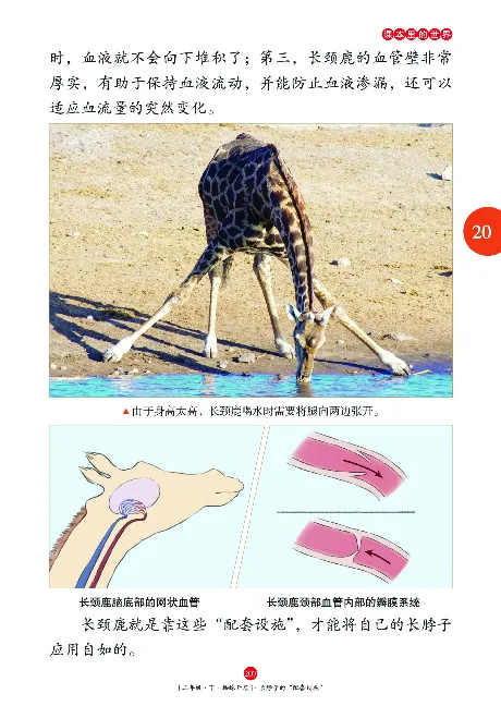 《年级阅读》语文2年级下册（RJ）_二年级上下册资料_小学二年级学习资料-25年更新版_2-02、小学二年级语文下册_2-2-2、练习题、作业、试题、试卷_电子册类