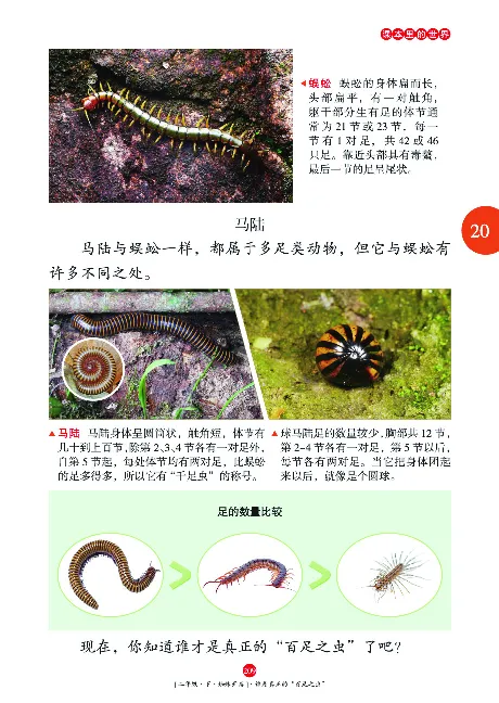 《年级阅读》语文2年级下册（RJ）_二年级上下册资料_小学二年级学习资料-25年更新版_2-02、小学二年级语文下册_2-2-2、练习题、作业、试题、试卷_电子册类