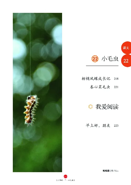 《年级阅读》语文2年级下册（RJ）_二年级上下册资料_小学二年级学习资料-25年更新版_2-02、小学二年级语文下册_2-2-2、练习题、作业、试题、试卷_电子册类