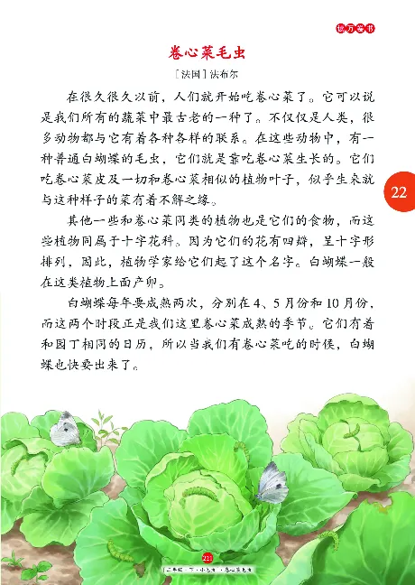 《年级阅读》语文2年级下册（RJ）_二年级上下册资料_小学二年级学习资料-25年更新版_2-02、小学二年级语文下册_2-2-2、练习题、作业、试题、试卷_电子册类