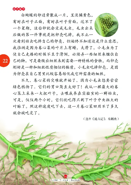 《年级阅读》语文2年级下册（RJ）_二年级上下册资料_小学二年级学习资料-25年更新版_2-02、小学二年级语文下册_2-2-2、练习题、作业、试题、试卷_电子册类