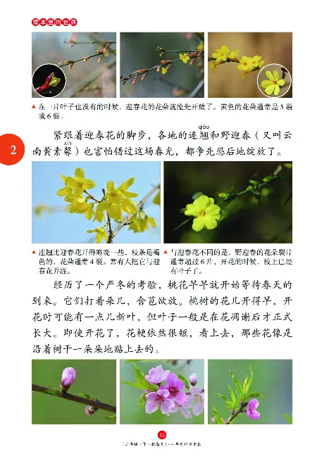 《年级阅读》语文2年级下册（RJ）_二年级上下册资料_小学二年级学习资料-25年更新版_2-02、小学二年级语文下册_2-2-2、练习题、作业、试题、试卷_电子册类