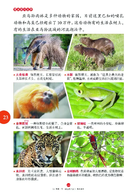 《年级阅读》语文2年级下册（RJ）_二年级上下册资料_小学二年级学习资料-25年更新版_2-02、小学二年级语文下册_2-2-2、练习题、作业、试题、试卷_电子册类