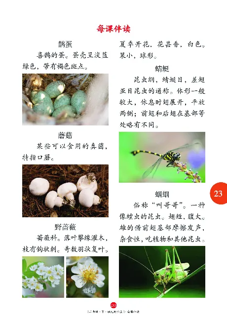 《年级阅读》语文2年级下册（RJ）_二年级上下册资料_小学二年级学习资料-25年更新版_2-02、小学二年级语文下册_2-2-2、练习题、作业、试题、试卷_电子册类