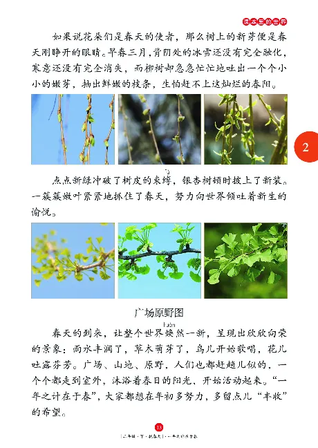 《年级阅读》语文2年级下册（RJ）_二年级上下册资料_小学二年级学习资料-25年更新版_2-02、小学二年级语文下册_2-2-2、练习题、作业、试题、试卷_电子册类