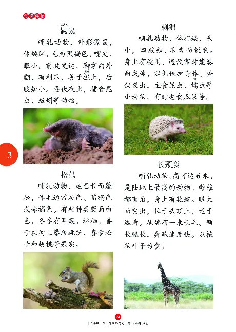 《年级阅读》语文2年级下册（RJ）_二年级上下册资料_小学二年级学习资料-25年更新版_2-02、小学二年级语文下册_2-2-2、练习题、作业、试题、试卷_电子册类