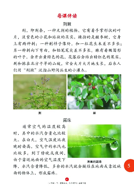 《年级阅读》语文2年级下册（RJ）_二年级上下册资料_小学二年级学习资料-25年更新版_2-02、小学二年级语文下册_2-2-2、练习题、作业、试题、试卷_电子册类