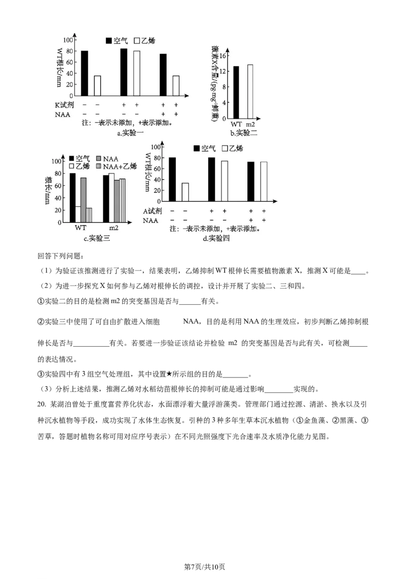 2024年高考生物试卷（广东）（空白卷）_生物历年高考真题_新&middot;Word版2008-2025&middot;高考生物真题_生物（按年份分类）2008-2025_2024&middot;高考生物真题