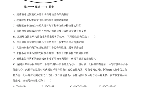 2025年高考生物试卷（山东卷）（空白卷）_生物历年高考真题_新&middot;PDF版2008-2025&middot;高考生物真题_生物（按年份分类）2008-2025_2025&middot;高考生物真题