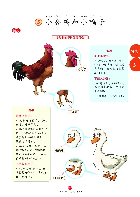 1年级语文绘本-A1-六三版_一年级语文下册（统编版）_老课标资料_一下语文含教学视频_第一套_010-绘本课堂PDF可下载打印