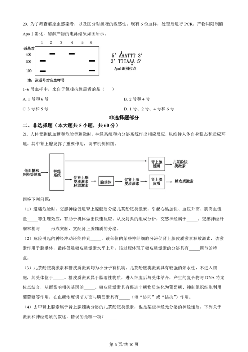 2024年高考生物试卷（浙江）（6月）（空白卷）_生物历年高考真题_新&middot;PDF版2008-2025&middot;高考生物真题_生物（按年份分类）2008-2025_2024&middot;高考生物真题